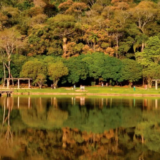 Jardim Botânico, Juiz de Fora